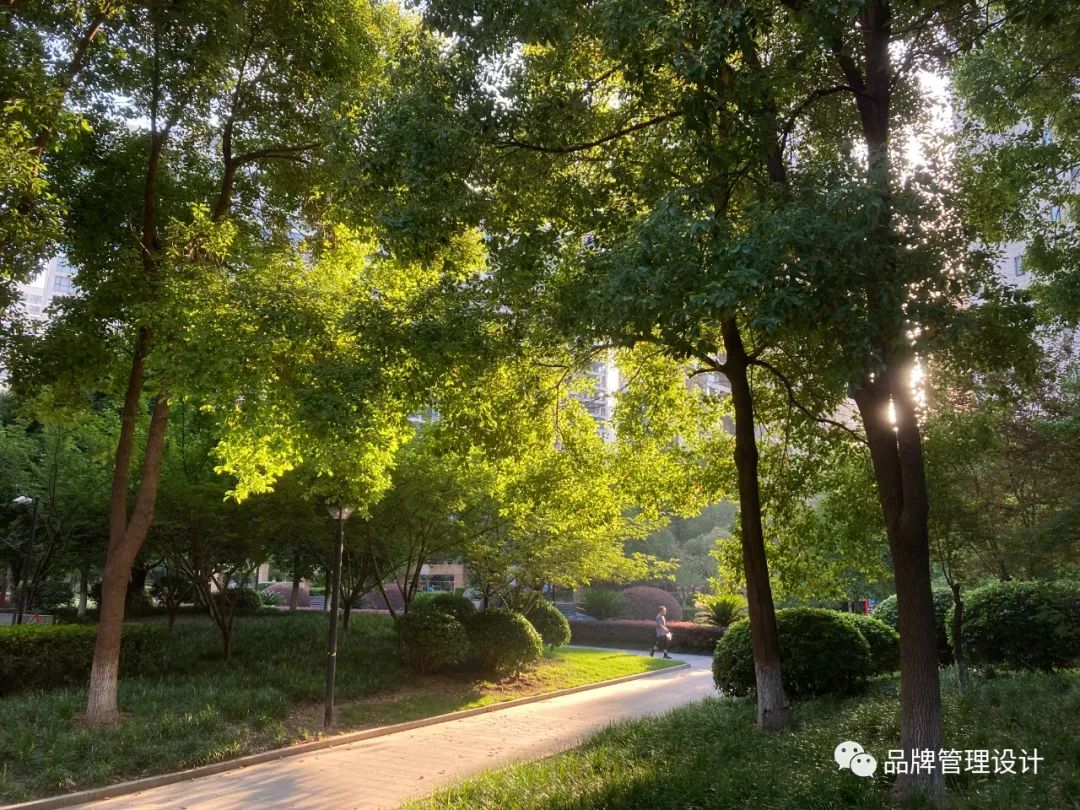 1690783144395611.jpg 010.jpg