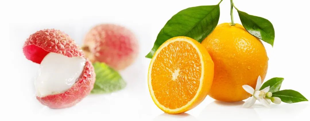 1698803151527909.jpg z1.jpg